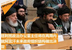 俄媒：塔利班政治委员会负责人将在两周内就阿未来政府组织结构作出