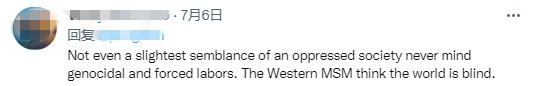 海外网友热评西方涉疆谎言：虚伪的美国没有资格批评他国！_fororder_图片9